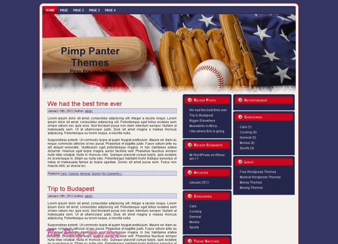 Baseball - USA