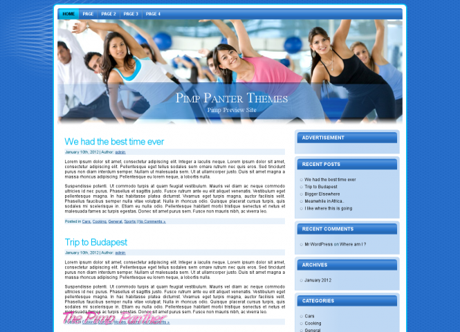 Fitness Wordpress Theme One