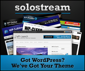 premium wordpress themes