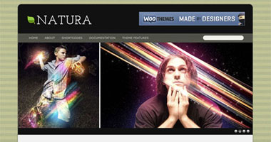 free wordpress theme Natura WordPress Theme