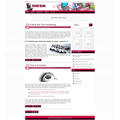 Techz Blog Theme