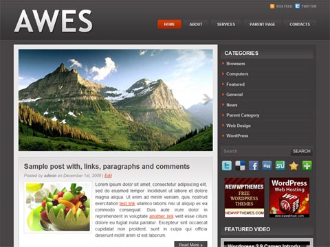 Free WordPress Theme – Awes. Free Download