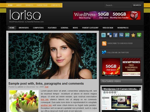 Free WordPress Theme – Larisa. Free Download