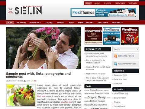 Free WordPress Theme – Selin. Free Download