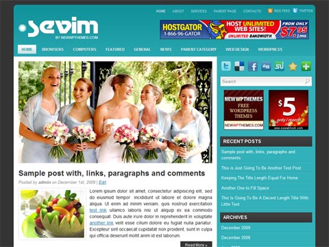 free wordpress theme Free WordPress Theme – Sevim. Free Download