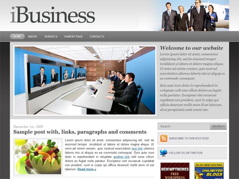 Free WordPress Theme – iBusiness. Free Download