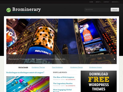 free wordpress theme Brominerary