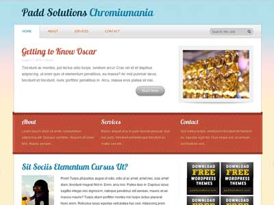 free wordpress theme Chromiumania Free WordPress Theme