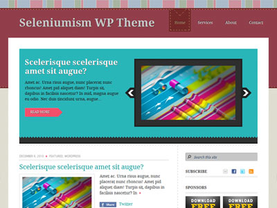 free wordpress theme Seleniumism