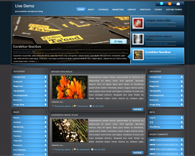 free wordpress theme Blue Mag