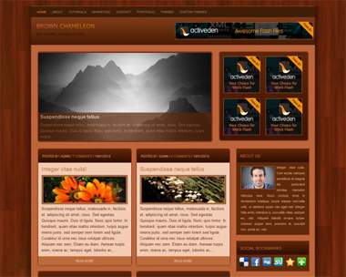 free wordpress theme Brown Chameleon