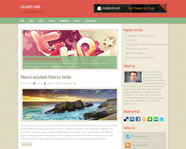 free wordpress theme Calamiti Mag