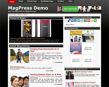 free wordpress theme Darkstic