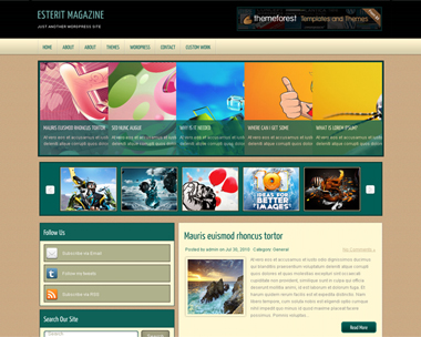 free wordpress theme Esterit Magazine