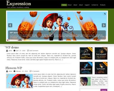 Expression Theme