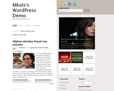 free wordpress theme FluidZine