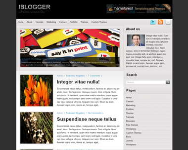 free wordpress theme iBlogger