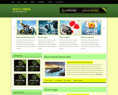 free wordpress theme Maxelis Tribune