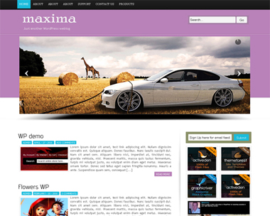 Maxima Theme