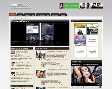 free wordpress theme Newslog