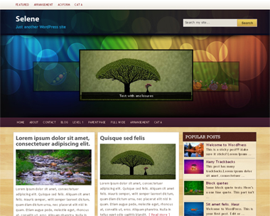 free wordpress theme Selene