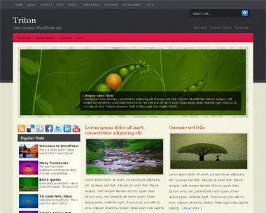 free wordpress theme Triton