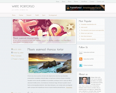 free wordpress theme White Portfolio