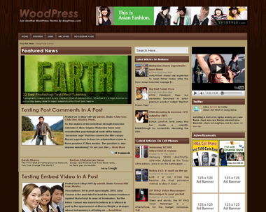 free wordpress theme WoodPress