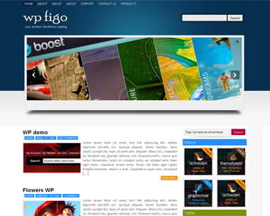 free wordpress theme WP Figo