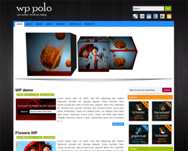 free wordpress theme WP Polo