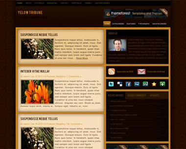 free wordpress theme Yellow Tribune