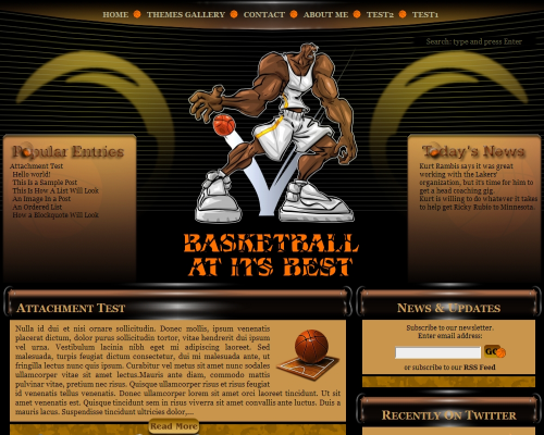 Basketball AIB
