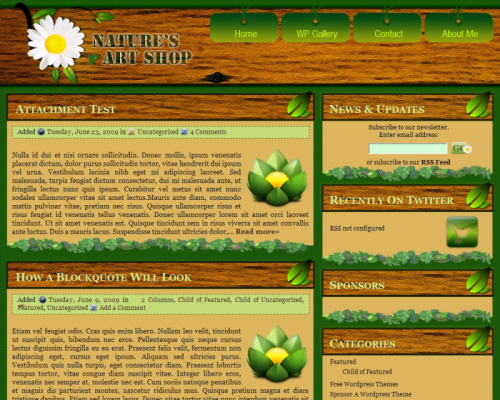 Nature's Art Shop