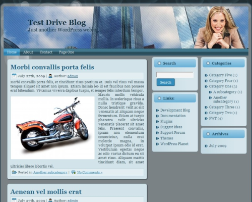 Corporate Blue