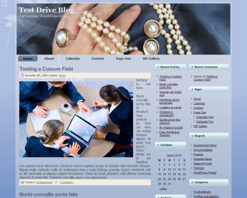 free wordpress theme Jewels Theme