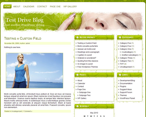 free wordpress theme Green Apple