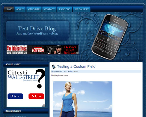 Blackberry WP Theme