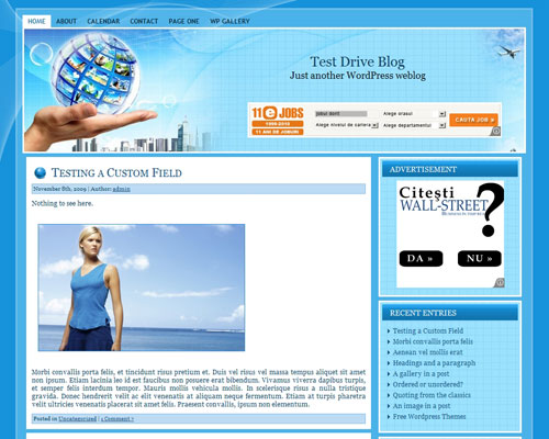 Blue Business WP Layout