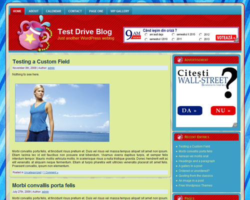 free wordpress theme Zodiac Aquarius
