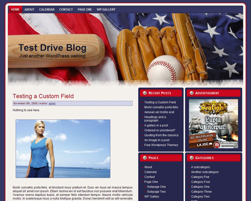 free wordpress theme Baseball – USA