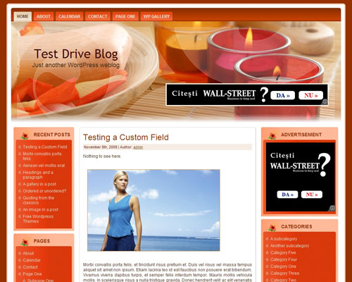free wordpress theme Spa Heaven