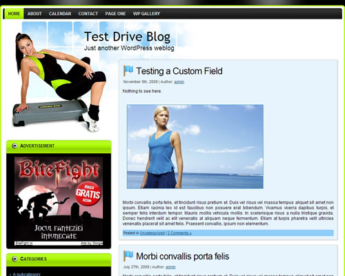 Get Fit Theme