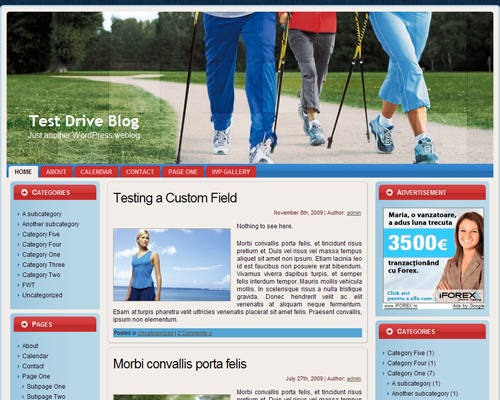 free wordpress theme Nordic Walking WordPress Theme
