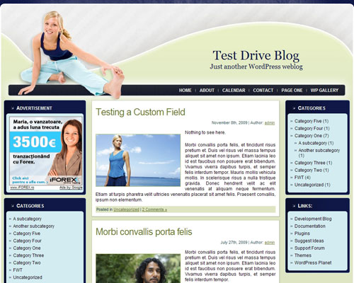 free wordpress theme Stretching WordPress Theme