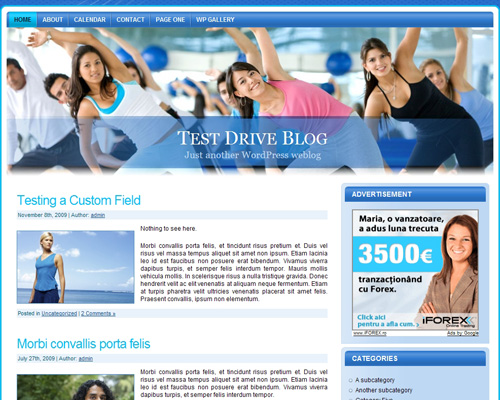 free wordpress theme Fitness WordPress Theme One