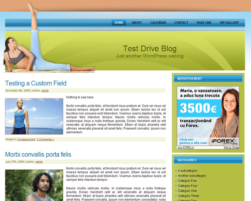 free wordpress theme Gymnastics WordPress Theme
