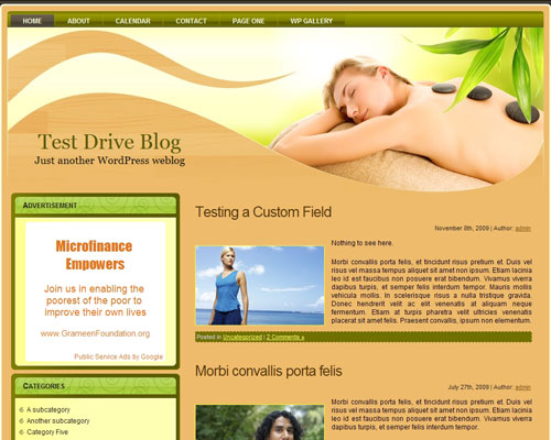 free wordpress theme Eden Spa
