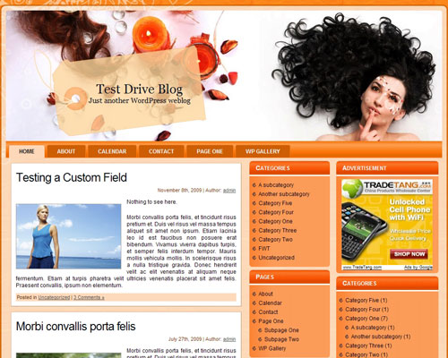 free wordpress theme Hair Theme