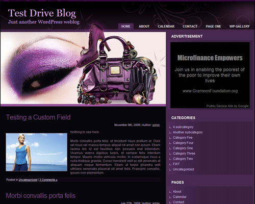 free wordpress theme Bag’N'Shoe