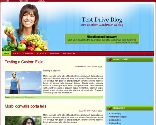 free wordpress theme Healthy Food WP